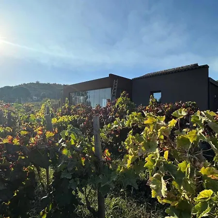 Villa Palmento San Nicolo Trecastagni